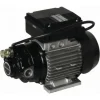Pompe A Huile 230v Viscomat A Palettes 25l/min PIUSI – 08556 7